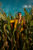 hanging_on_reduced